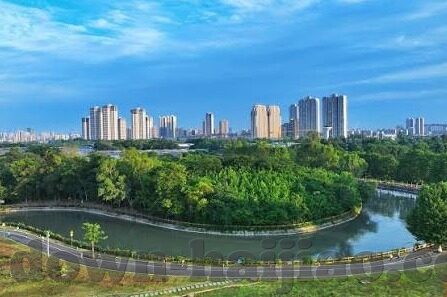 久久精品国产亚洲av麻豆网站-探索国产影视新视界，深入解析一段不同寻常的观影经