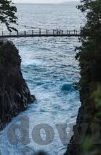 日韩av综合-日韩AV综合，文化、艺术与市场探索